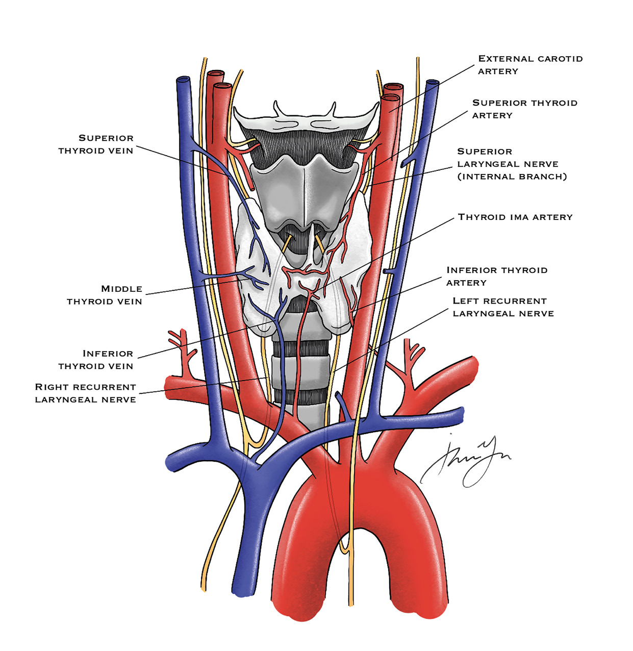 Figure from page 14